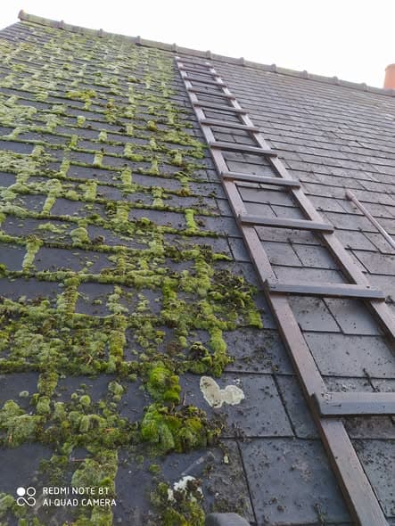 Démoussage avant/après